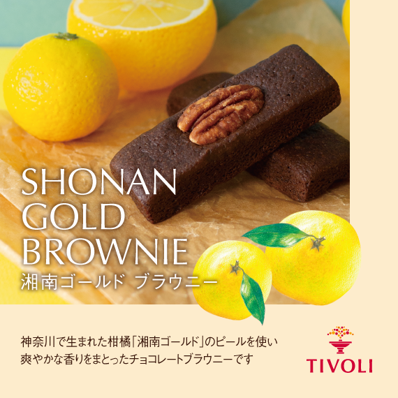 湘南ゴールド ブラウニー TIVOLI