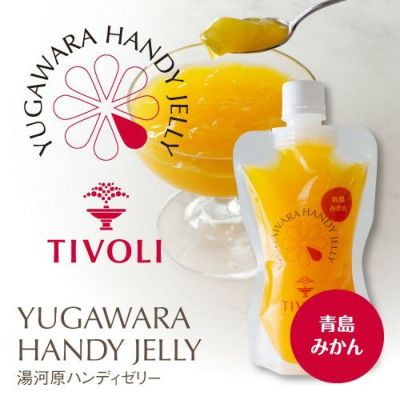 湯河原ハンディゼリー 青島みかん 1種1本