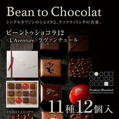 ビーントゥショコラ12＜L'Aventure＞