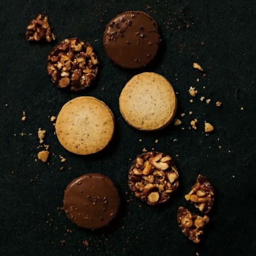 ガトー・セック14＜La Chambre＞