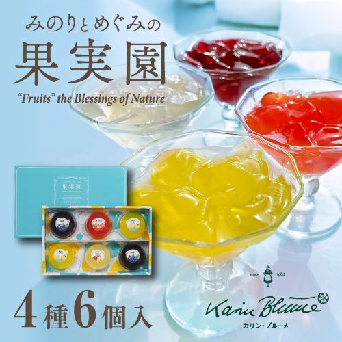 みのりとめぐみの果実園 4種6個入